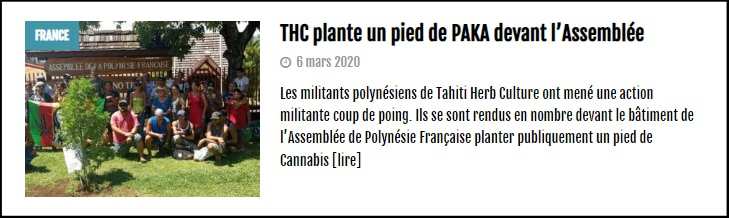 a lire sur le cannabiste.tahiti