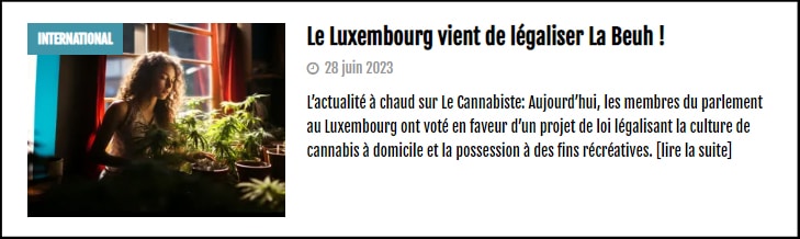 a lire sur le cannabiste luxembourg 1