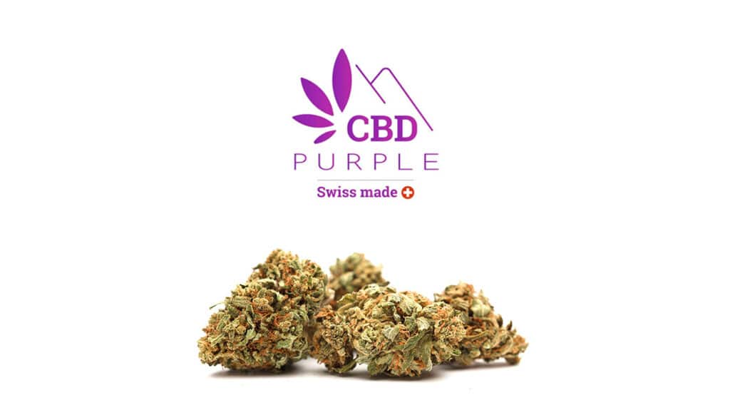 cbd purple