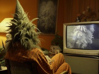 homme cannabis qui regarde un film pour halloween