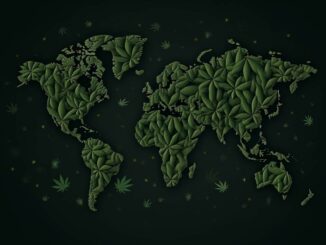 carte du monde cannabis