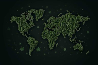 carte du monde cannabis