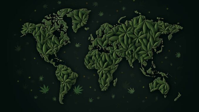 carte du monde cannabis