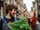 jeunes avec des plantes de cannabis a amsterdam