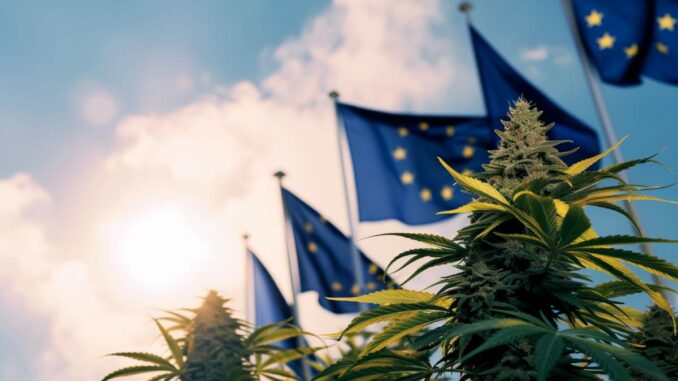 cannabis et drapeaux europe