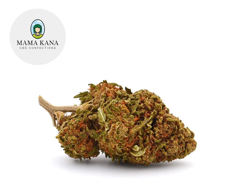 Blueberry CBD 8 % Sous serre (Mama Kana)