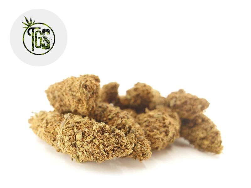 Charlotte Web CBD 5 % Sous serre (The Green Store)