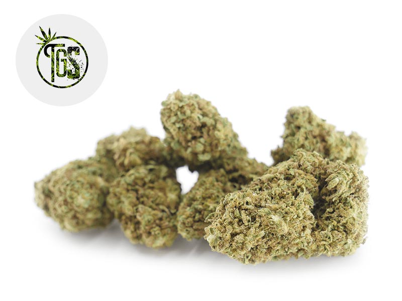 Remedy CBD 7 % Sous serre (The Green Store)