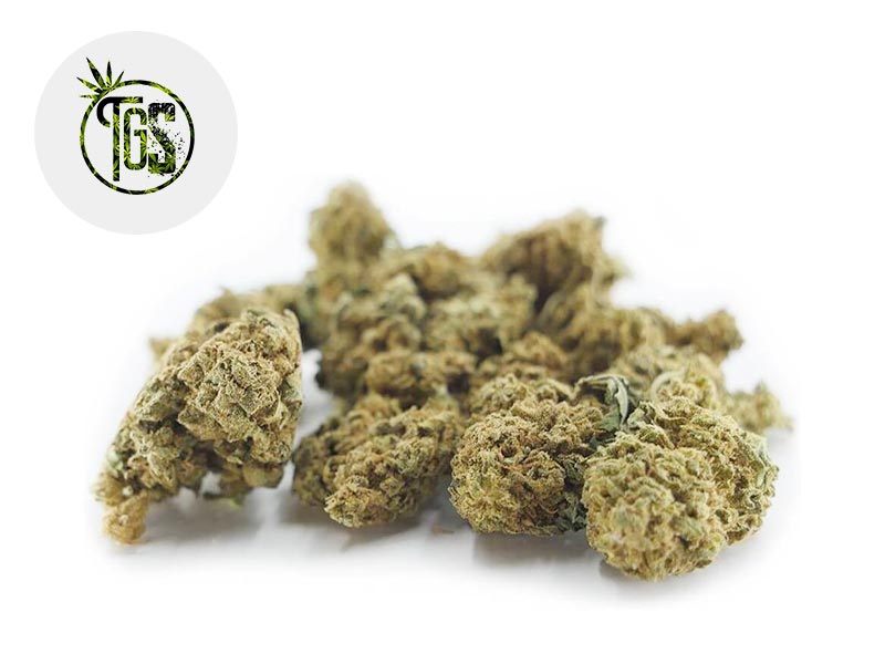 Gorilla Glue CBD 5 % Sous serre (The Green Store)
