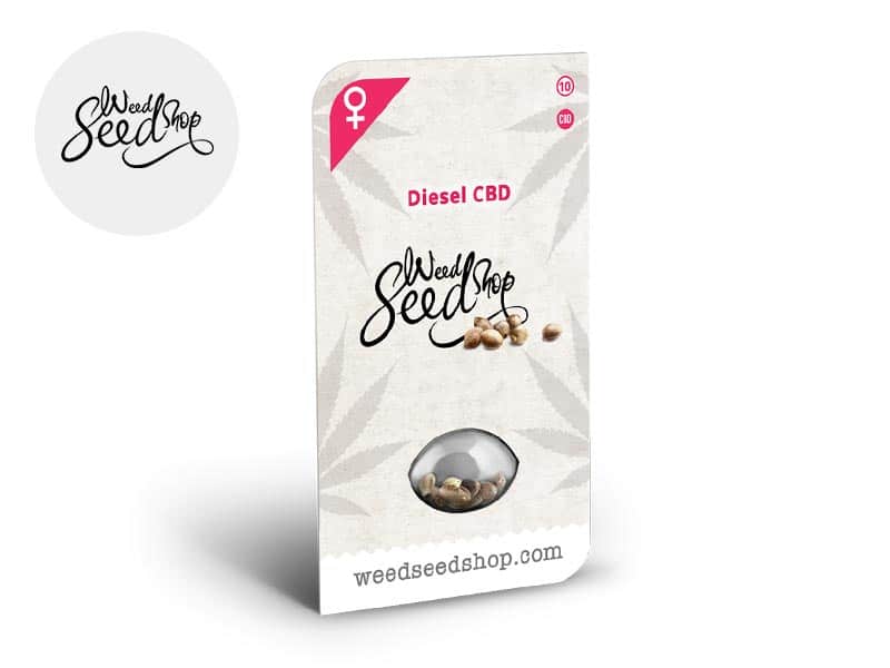 Graines CBD Diesel féminisées (Weedseedshop)