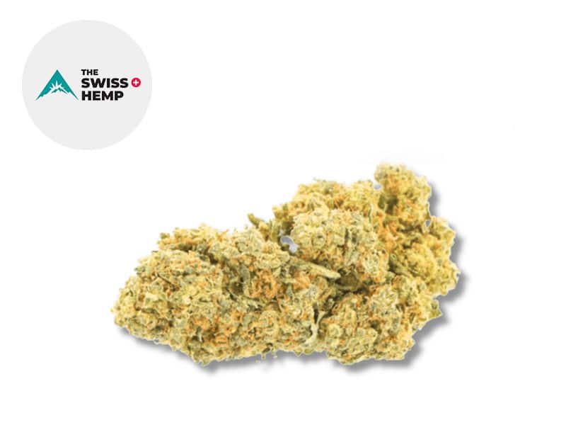 Super Skunk CBD 19 % Sous serre (The Swiss Hemp)