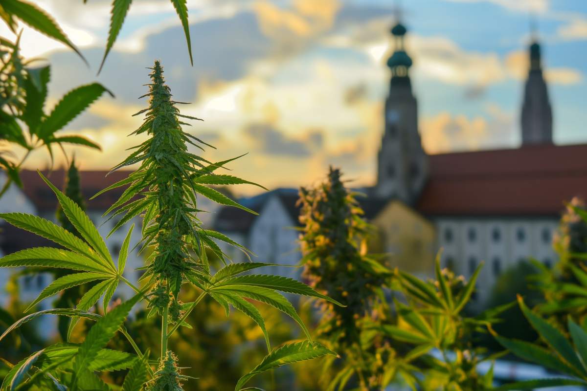 munich et legalisation cannabis allemagne