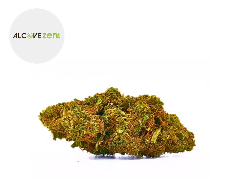 Watermelon CBD 10 % Sous serre (Alcovezen)