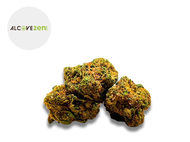 BlackBerry CBN 20 % Sous serre (Alcovezen)