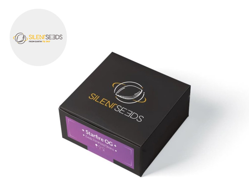 Graines CBD Og féminisées (Silent Seeds)
