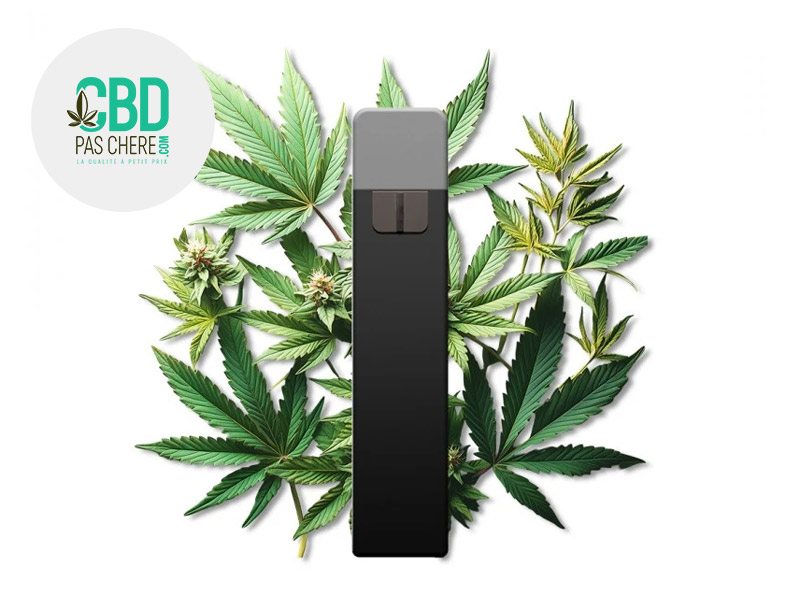 Puff Cannabis 95% CBD (CBD Pas Chère)