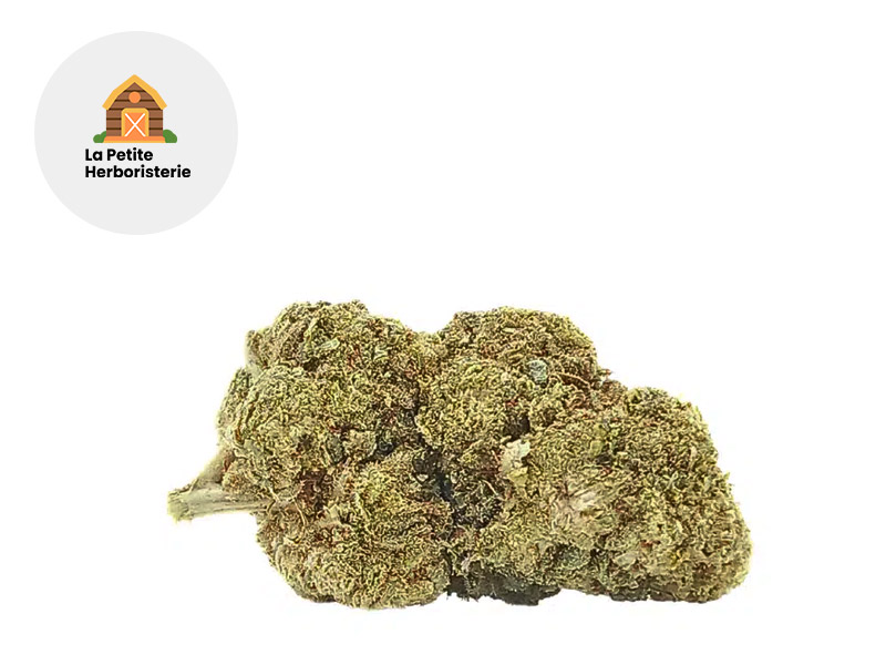 Critical CB9 17 % Sous serre (La Petite Herboristerie)