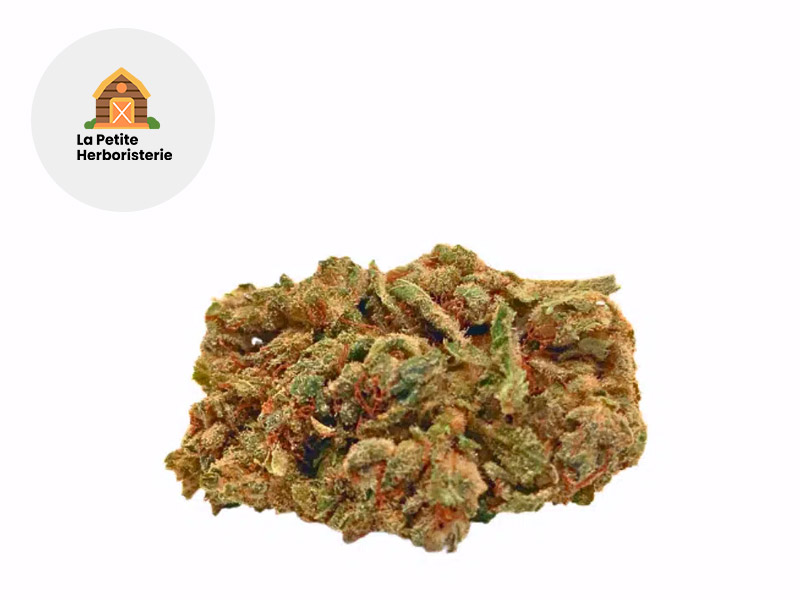 Banner CBC 17 % Sous serre (La Petite Herboristerie)
