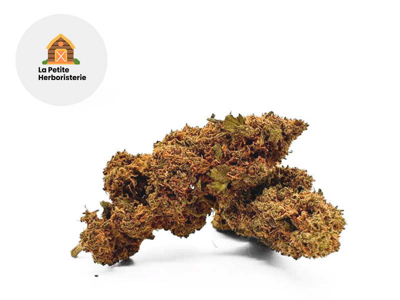 Amnesia Haze CBD 20 % Sous serre (La Petite Herboristerie)