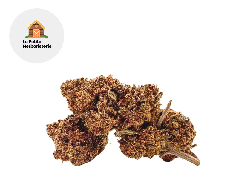 Bubba Kush CBD 11 % Sous serre (La Petite Herboristerie)