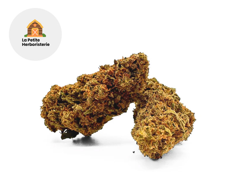 Critical CBD 11 % Sous serre (La Petite Herboristerie)
