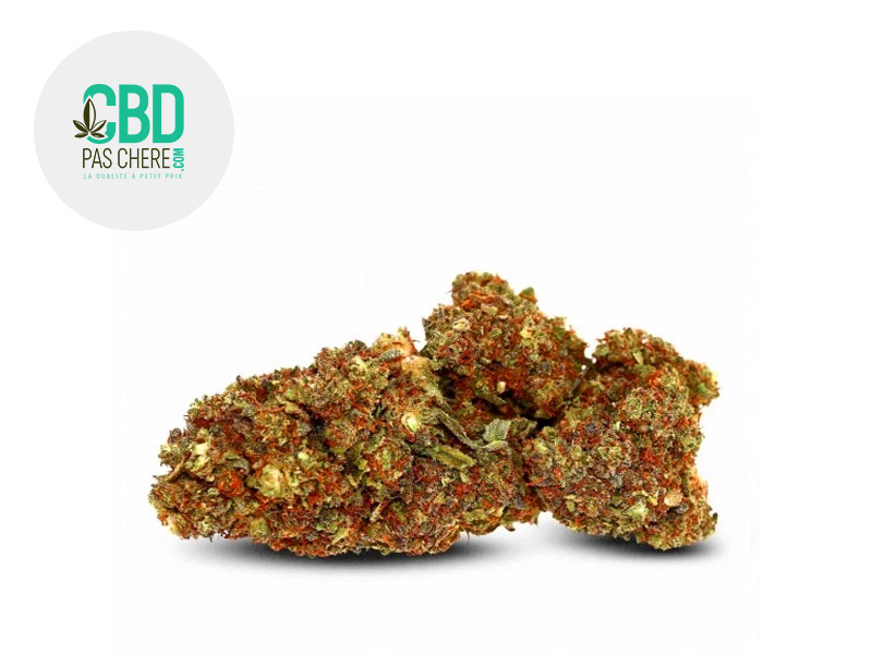 Strawberry Banana SS CBD 18 % Sous serre (CBD Pas Chère)