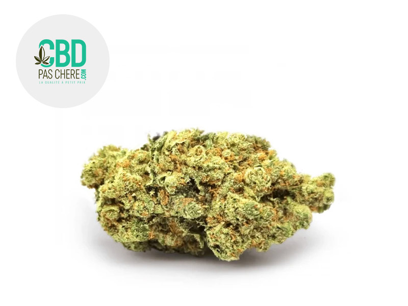 Loui s Haze OG CBD 17 % Indoor (CBD Pas Chère)