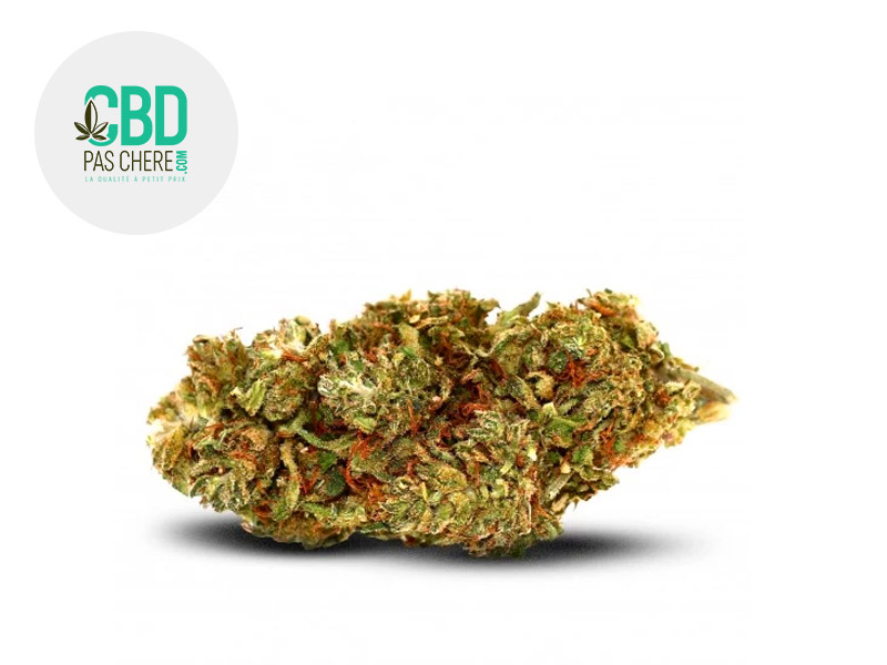 Valentine Cake CBD 14 % Outdoor (CBD Pas Chère)
