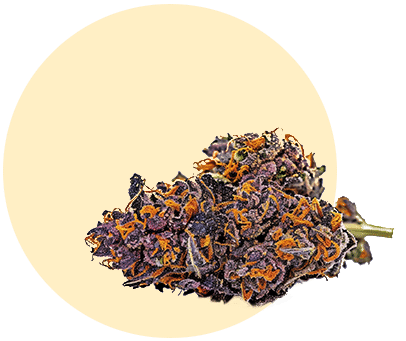 fleurs sans thc