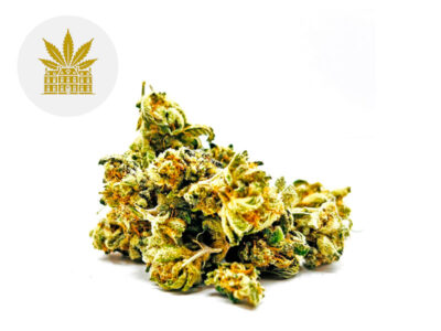 Lemon Grace CBD 8 % Indoor (Maison Nassoy Le Baron)