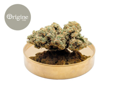 Lemon Berry sans THC CBD 20 % Indoor (Origine CBD)