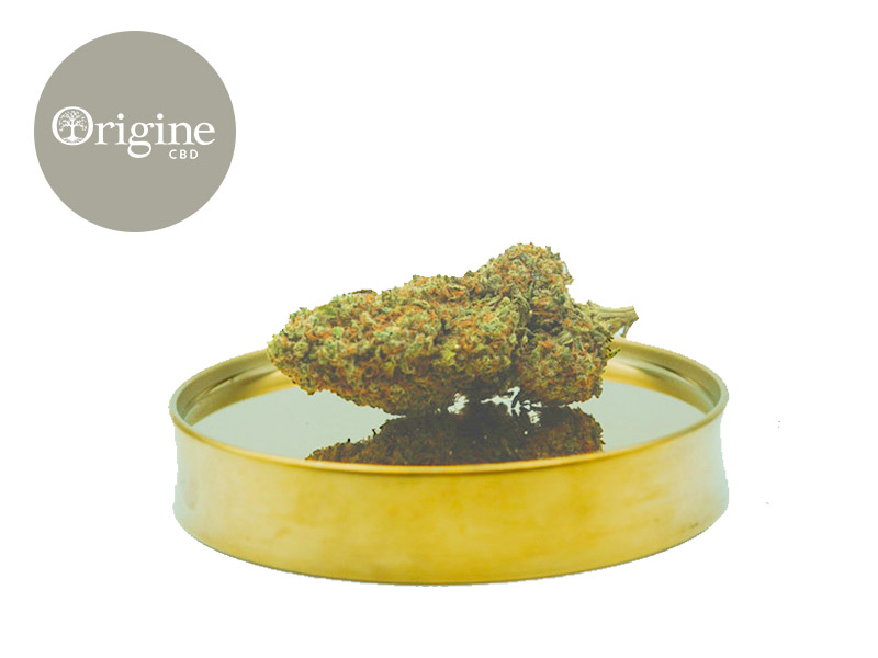 Purple Haze CBD 11 % Indoor (Origine CBD)