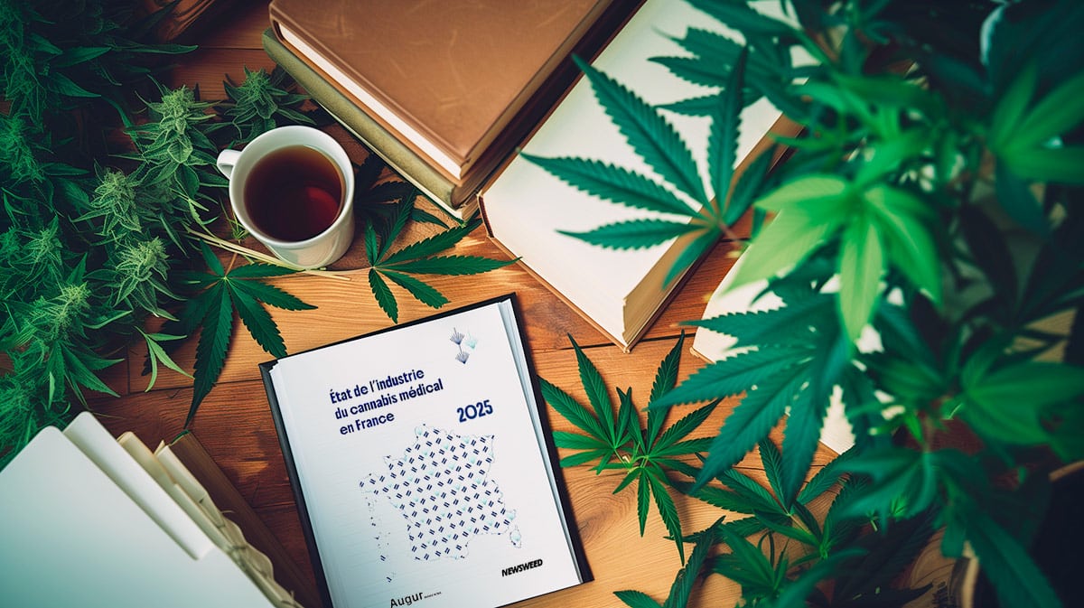 rapport cannabis medical en france
