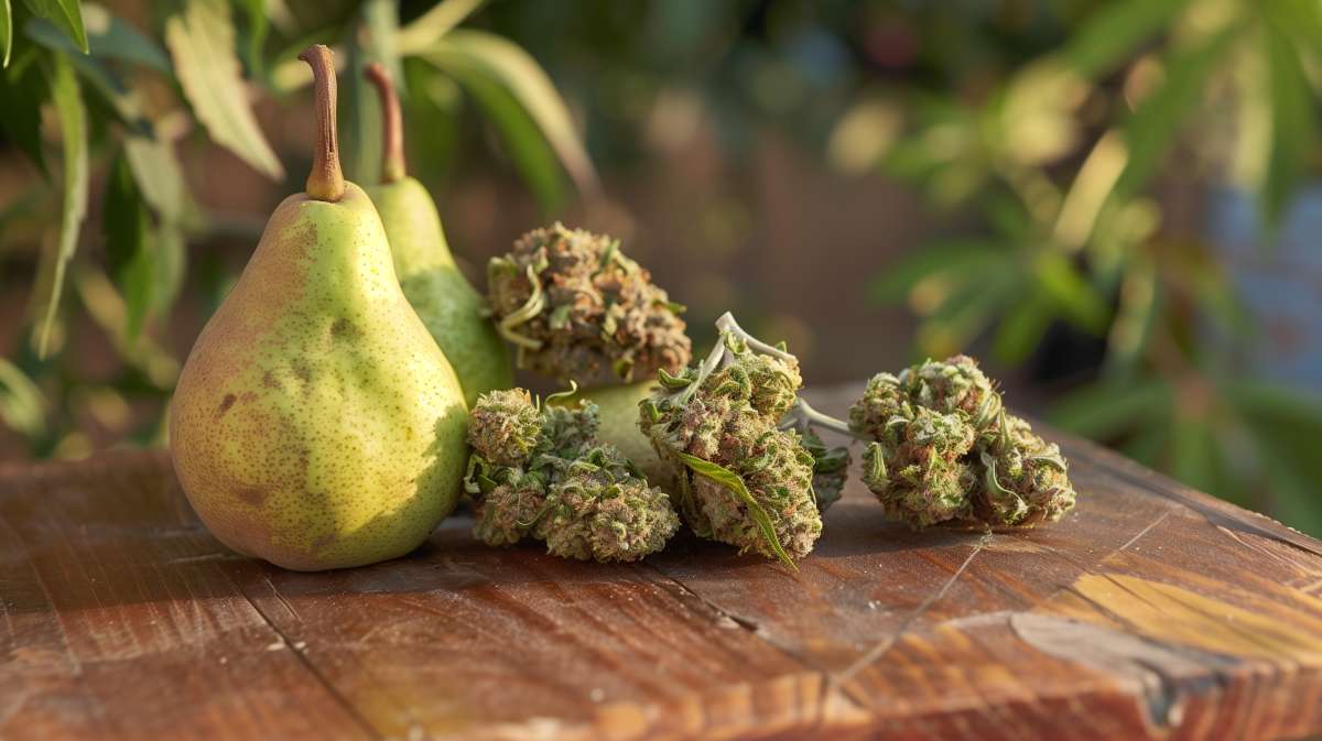 terpène Farnésène - poire verte