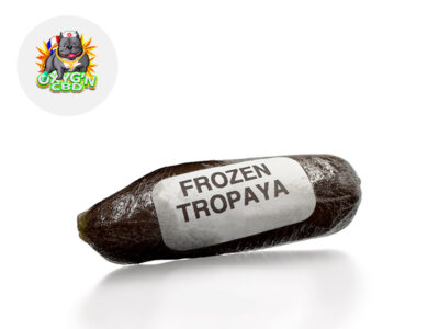 Frozen Tropaya Olive 32 % CBD (Oxyg'N CBD)