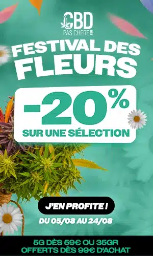 cbdpaschere festival des fleurs
