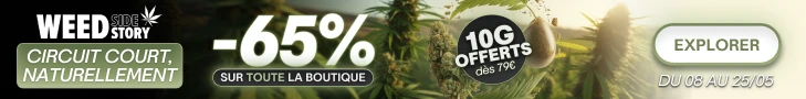 weed side story circuit court