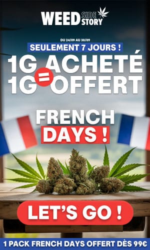 weed side story - french days