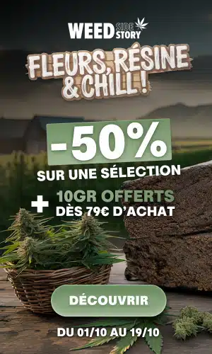 weed side story chill