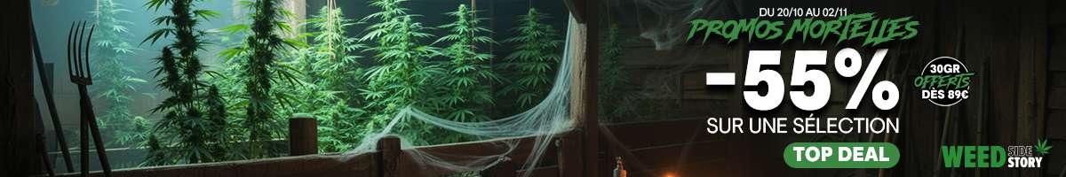 weed side story promos mortelles -55%