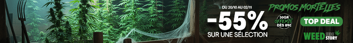 weed side story promos mortelles -55%