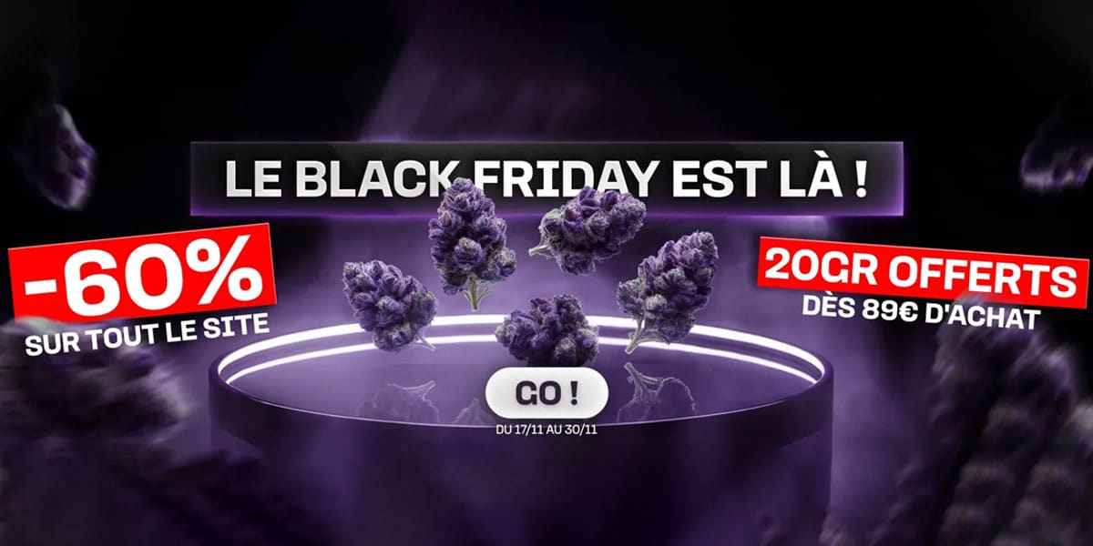 cbd purple black friday