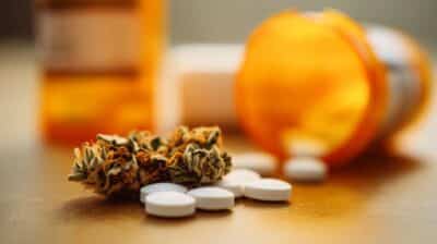 Cannabis médical et opioides