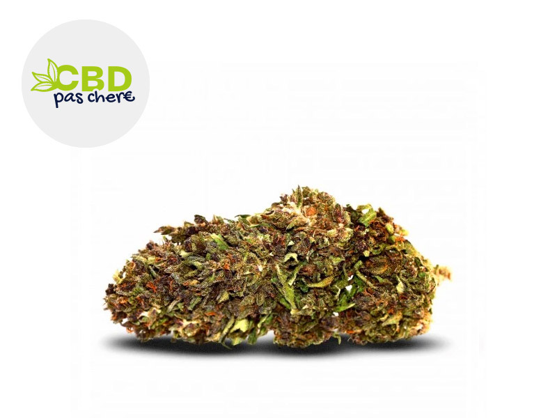 Northern Light CBD 18 % Sous serre (CBD Pas Ch&egrave;re)