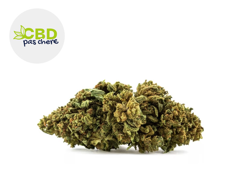 Strawberry Banana SS CBD 18 % Sous serre (CBD Pas Ch&egrave;re)