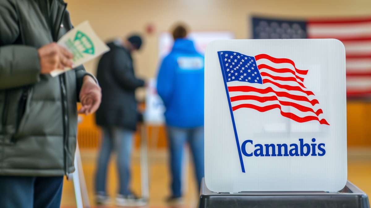 vote legalisation cannabis aux etats unis