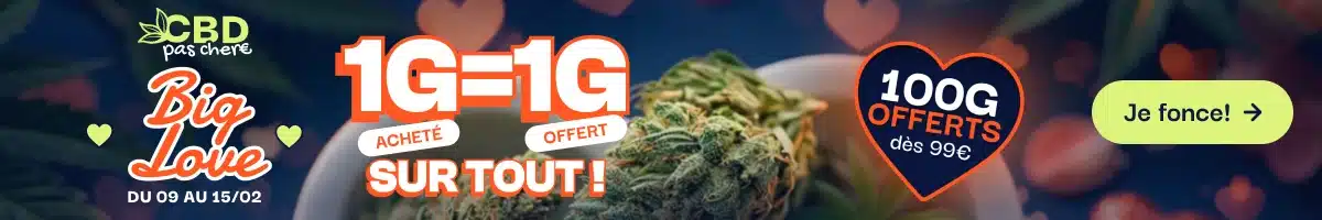 cbdpaschere big love 1g = 1g