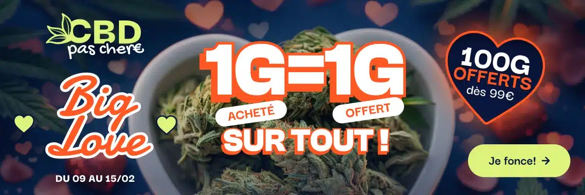 cbdpaschere big love 1g = 1g