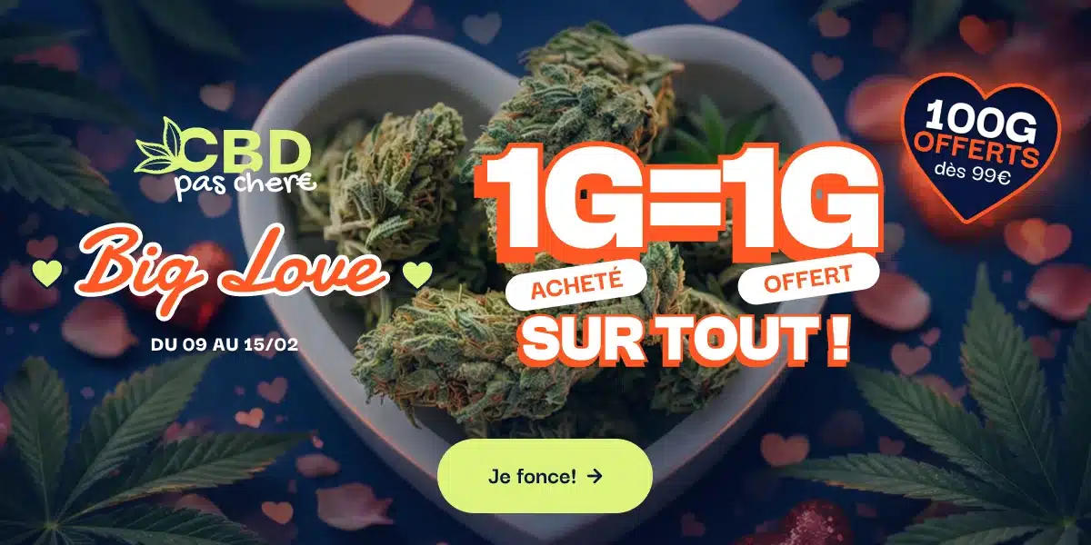 cbdpaschere big love 1g = 1g