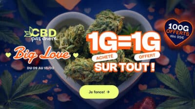 cbdpaschere big love 1g = 1g